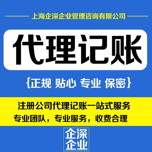 專業的嘉定區財務代理服務